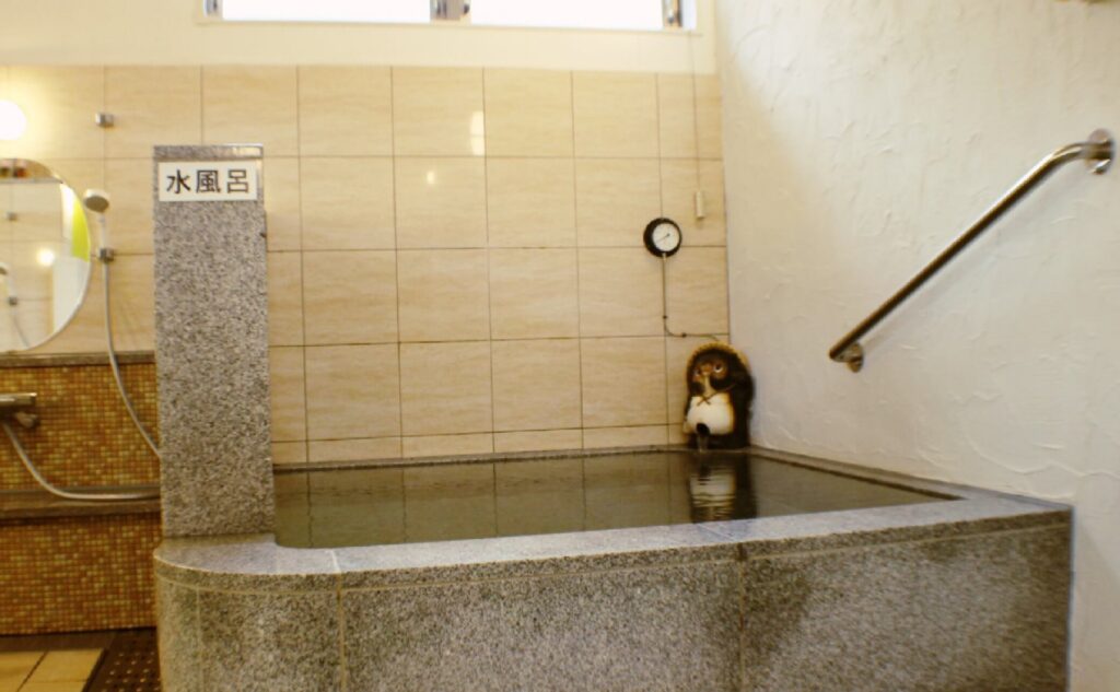 温泉の特徴・泉質｜つるつる体感で語られる“美人湯”